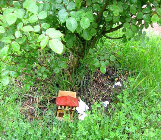 Hıdrellez Geleneğine BAMER Katkısı
