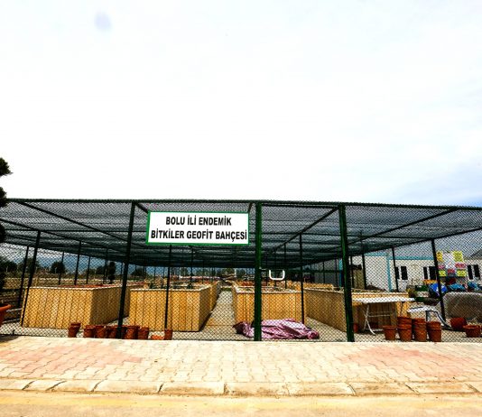 Bolu’daki Endemik Türler Koruma Altında