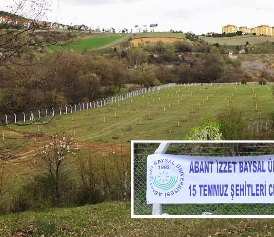 AİBÜ, 15 Temmuz Şehitlerimiz için Ceviz Ormanı Oluşturuyor