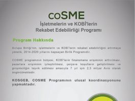 İşletmelerin ve KOBİ’lerin Rekabet Edebilirliği Programı(COSME)