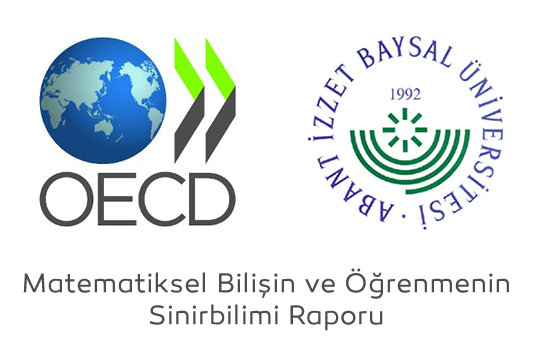 OECD Matematiksel Bilişin ve Öğrenmenin Sinirbilimi Raporu