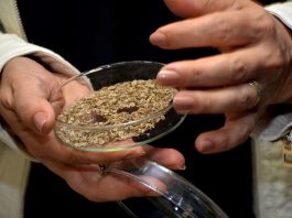 BAİBÜ, Tohum ve Gıda Güvenliğini Artıracak Yenilikçi Projesini Tanıttı