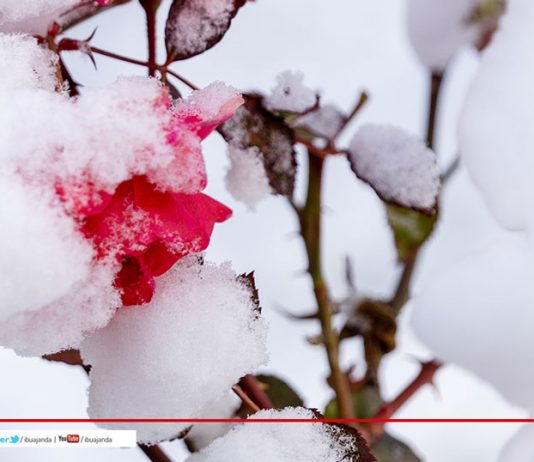 Yeni Yılınız Kutlu Olsun