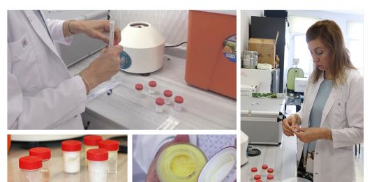 BAİBÜ’de Bor Madeninden Yara ve Cilt Kremi Üretildi