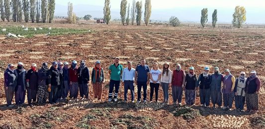 BAİBÜ-TÜRKŞEKER İşbirliği ile İlk Yerli ve Milli Şeker Pancarı Çeşitleri Geliştirildi