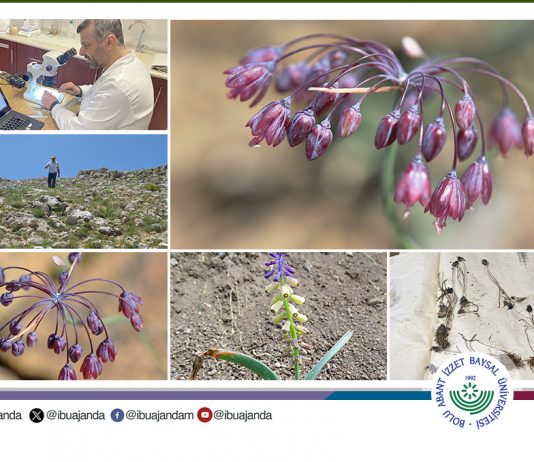 Prof. Dr. İsmail Eker’den 2 yeni keşif