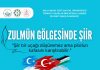 Şiirle Direnişin Sesi: Zulmün Gölgesinde Şiir