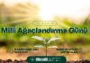 11 Kasım Milli Ağaçlandırma Günü Fidan Dikim Etkinliği Daveti