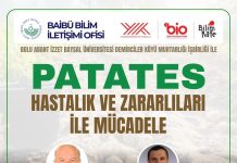 Patates Hastalık ve Zararlıları ile Mücadele