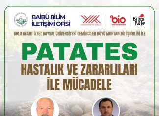 Patates Hastalık ve Zararlıları ile Mücadele
