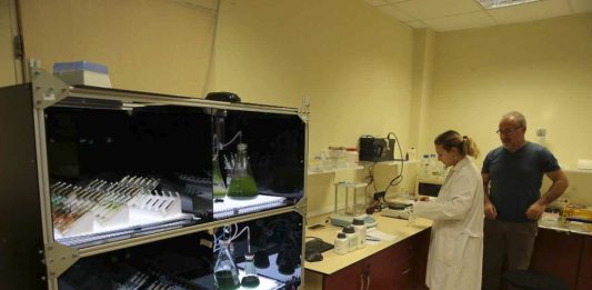 Türk Akademisyenlerden Doğal İçerikli Cilt Onarıcı ve Koruyucu Güneş Kremi Başarısı