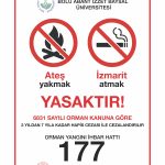 2 Yıldan 7 Yıla Kadar Hapis Cezası: Ormanları Koruma Zorunluluğu