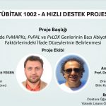 Bitkilerin Stres Toleransına Yönelik Moleküler Çalışmaya TÜBİTAK’tan Destek