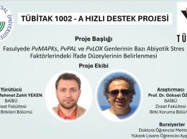 Bitkilerin Stres Toleransına Yönelik Moleküler Çalışmaya TÜBİTAK’tan Destek