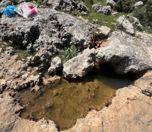 BAİBÜ’den Karstik Alanlarda Biyoçeşitlilik Araştırması: Kaya Havuzlarının Sırrı Çözülüyor