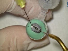 BAİBÜ’de Diş Hekimliğinde Çığır Açacak Proje: Rejeneratif Tedavilerde “Ozon” Dönemi